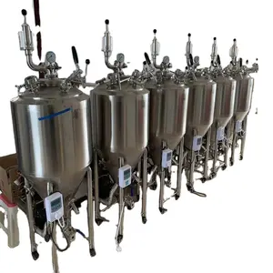 Harga Pabrik Pabrik Bir Sistem Fermentasi 150L Mesin Press Anggur Fermenter Tangki Bir Brite