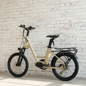 Vélo <span class=keywords><strong>cargo</strong></span> électrique familial 20 pouces, moteur central 36V 250W, siège bébé, freins hydrauliques, cadre en aluminium aviation, batterie au lithium - Product Image 1