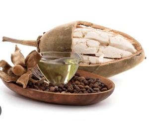 Graines de baobab zambien séchées en vrac, brutes, pour ingrédients cosmétiques, usage agricole et plantation - Product Image 4