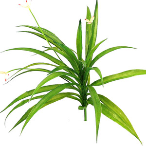 Commercio All'ingrosso di <span class=keywords><strong>Vendita</strong></span> calda di Seta Decorativo Pianta di Simulazione Hom Dicembre Artificiale Foglie di <span class=keywords><strong>Piante</strong></span> per le Decorazioni - Product Image 5
