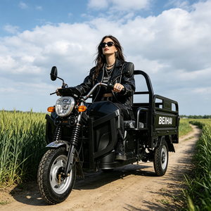 2026 BEIHAI Three Wheeled Supercar Cheap Mini 60V 2000W Scooter 3 Wheel <b>Passenger</b> Tricycles for Adults - Product Image 3