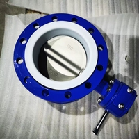 Katup Kupu-kupu Berflens Ganda DI/SS304 dengan Pelapis EPDM/PTFE, PN10/16 Standar EU/BS/ANSI, Tahan Korosi, Tersedia Ukuran OEM