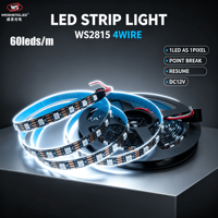 Bande LED numérique WS2815 DC12V 60 LED/m 10mm 5050 RGB PCB noir SPI Pixel Dream Color Magic Led Strip Light 14.4W 60 pixels