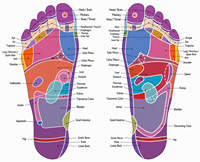 Semelles Magnétiques de Massage avec Soutien de la Voûte Plantaire et du Talon, Absorption des Chocs, Confort, Orthopédiques, Anti-Odeur, Durables pour Hommes