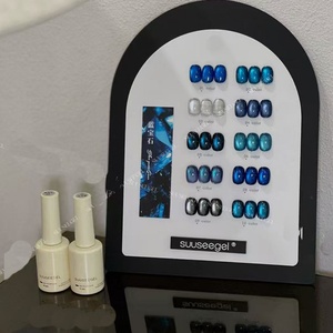 Factory Customized Wholesale Hot Selling 10 Color Sapphire cat Eye Series <b>Set</b> armor Oil Glue <b>Nail</b> Salon Exclusive - Product Image 2