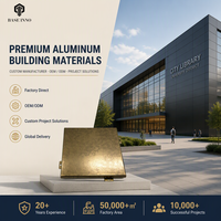 Panneaux de Façade en Aluminium Revêtus d'Époxy pour Mur Rideau Extérieur, Personnalisés OEM, en Métal Perforé, Résistants à la Graisse, pour Bâtiments, Modèle 2026