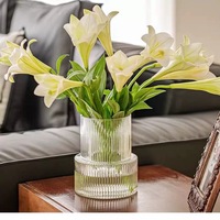 Vase de table hydroponique en verre cylindrique transparent RYLAVA, design moderne à rayures verticales, personnalisable pour la maison et les mariages
