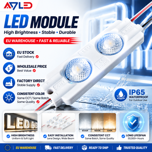 Module LED 3M avec 2 LED SMD2835 12V 1W 150lm IP65 étanche CE RoHS pour enseignes extérieures, caissons lumineux et lettres en relief - Product Image 1