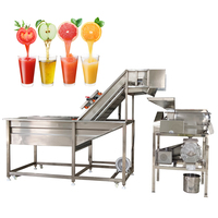 Automatische 1 T/h Mangosap Extractie Mango Verwerkingsapparatuur Mango Juicer Extractiemachine Te Koop