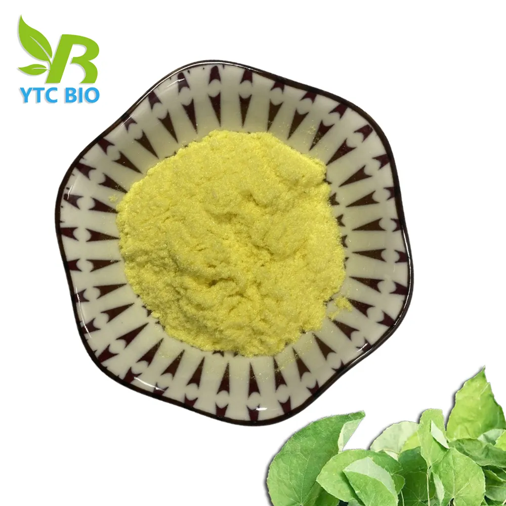 Pure organiche icariina in polvere capsule di erba di capra Horny estratto di erbe Epimedium 5% 10% 20% 40% 50% 60% 80% 98%