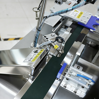 Machine de marquage laser à fibre 50W pour codes QR, à alimentation automatique, avec inspection frontale des pièces métalliques, multifonctionnelle IA, marque BMG, usine de Guangzhou