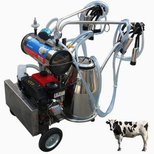 Pompe à vide à débit personnalisable, pompe à haut degré de vide pour machine à traire, système complet - Product Image 4