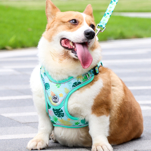 Venta al por mayor de lujo ajustable reflectante de seguridad transpirable <span class=keywords><strong>Sexy</strong></span> diseñador paso en mascota chaleco perro arnés y correa conjunto - Product Image 3