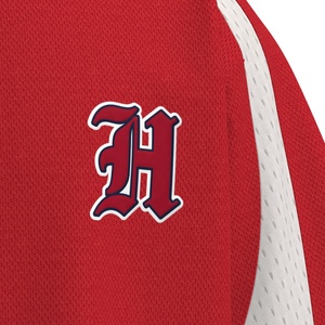 HEALY Custom Pattern 100% Polyester Fabric <b>Baseball</b> Jersey Men Moisture-Wicking Breathable Quick Dry Short Sleeve Sports Wear - Product Image 4