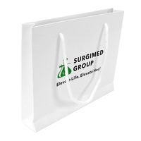 Sacs en papier de luxe pour boutiques, grands sacs en papier pour le shopping avec votre propre logo, emballage en papier, sac cadeau de haute qualité, sac à main pour l'emballage de vêtements
