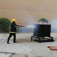 Pistolet de pulvérisation de lutte contre le feu de brouillard d'eau pour armoire de bobine de tuyau