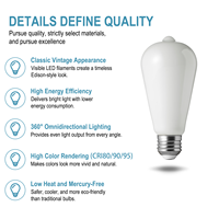 Ampoule LED à filament de verre CRI90 dimmable 12W, culot B22/E26/E27, ST21/ST64, température de couleur 2200K-6000K, certifiée AC CE, utilisation multi-scènes
