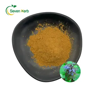 High Quality 10:1 20:1 Ajuga Turkestanica Extract Powder For Sports Supplements