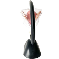 Modèle du système reproducteur féminin, modèle d'utérus transparent, modèle anatomique féminin