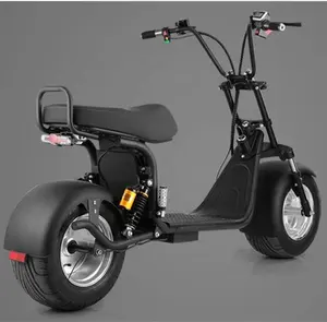 2024 USA warehouse new arrival 1500w 2000w Fat Tire Scooter electric citycoco for rent