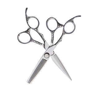 Hairdressing Scissors Set 6 Inch Stainless Steel Flat Shears Thinning Shears Hair Styling Tools - Product Image 1