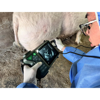 Échographe vétérinaire portable robuste Dawei pour diagnostic de gestation multi-animaux avec 4 Go de mémoire – Vente en gros usine