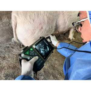 Échographe vétérinaire portable robuste Dawei pour diagnostic de gestation multi-animaux avec 4 Go de mémoire – Vente en gros usine - Product Image 1