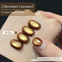 Vernis à ongles gel UV magnétique effet œil de chat, longue tenue, 10 ml, usage professionnel, avec logo personnalisé, couleur caramel châtaigne
