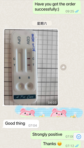 Dog RLN mang thai thú y <span class=keywords><strong>Kit</strong></span> kiểm tra Alex - Product Image 6