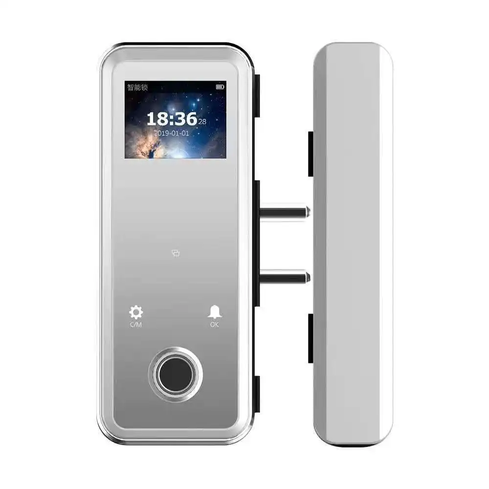 Hoge Veiligheid Volautomatische Smart Lock Biometrische Vingerafdruk Smart Schuifdeur Lock Zilver Voor Kantoor Glazen Deur