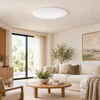 Plafonnier LED rond en plastique blanc à couvercle torsadé, à montage en saillie ou encastré, pour chambre et cuisine, vente en gros