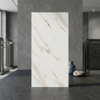 Dernière collection de carreaux en porcelaine Satuarion polis et émaillés de la société Arkiton Tiles, carreaux en céramique 2026