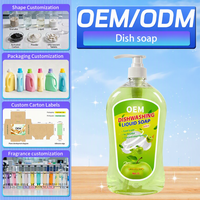 Lieshi Détergent liquide pour lave-vaisselle personnalisé, écologique, parfum gingembre, qualité supérieure, 50%-80% d'ingrédients actifs