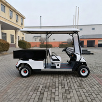Chariot utilitaire électrique de plage avec caisse de chargement, 2 places, pneus de plage pour le transport en marina et en station balnéaire