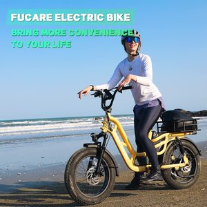 Libra 750W 48V20AH Moteur de moyeu arrière en acier au carbone Vélo électrique à pneus larges Suspension intégrale Frein à disque 2 places 400LBS - Product Image 1