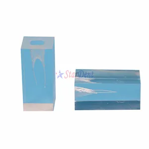 Dentale Pratica di Formazione di Blocchi di Due <span class=keywords><strong>Root</strong></span> <span class=keywords><strong>Canal</strong></span> Endo Endodonzia Studente Modello di Insegnamento Odontoiatria - Product Image 1