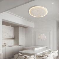 Lumière murale LED Moon à intensité variable avec télécommande vocale pour salon, mur de fond, couloir, ambiance décorative, plafonniers