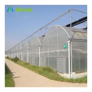 China supplier automatic control system greenhouse with cooling system,shade net,drip irrigation