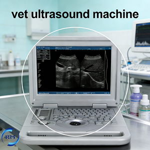 Escáner de Ultrasonido Portátil en Blanco y Negro para Animales, Hospital, Clínica Veterinaria, Ultrasonido Doppler <span class=keywords><strong>con</strong></span> Sondas Convexas y Lineales - Product Image 1