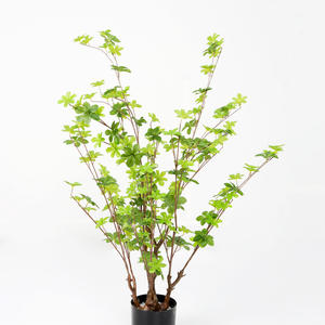 Macetas de Bonsái Japonesas Hechas a Mano, Árboles Artificiales, Artículos de Jardinería, Árboles Bonsái, Gran Venta 2026 - Product Image 6