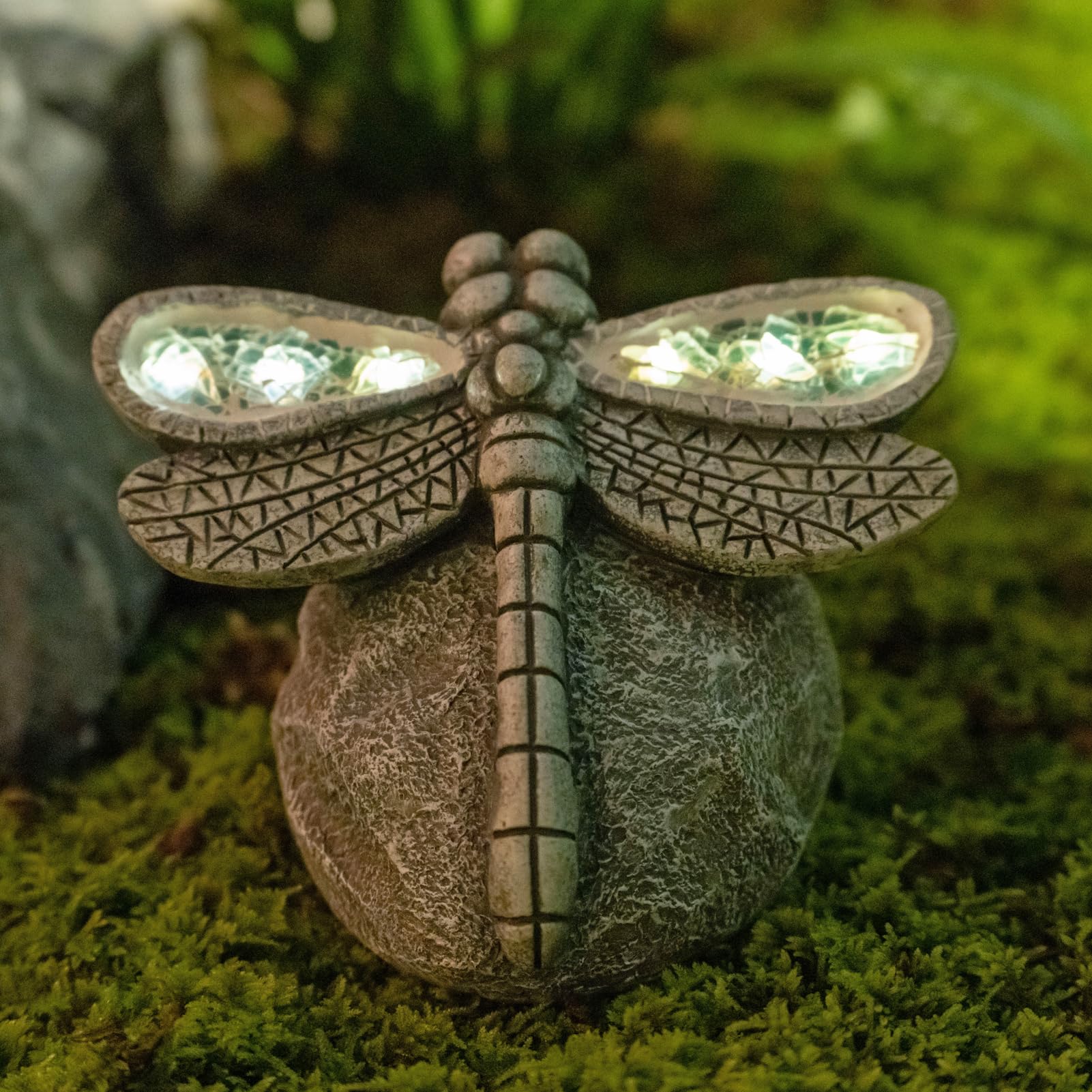 Libellule