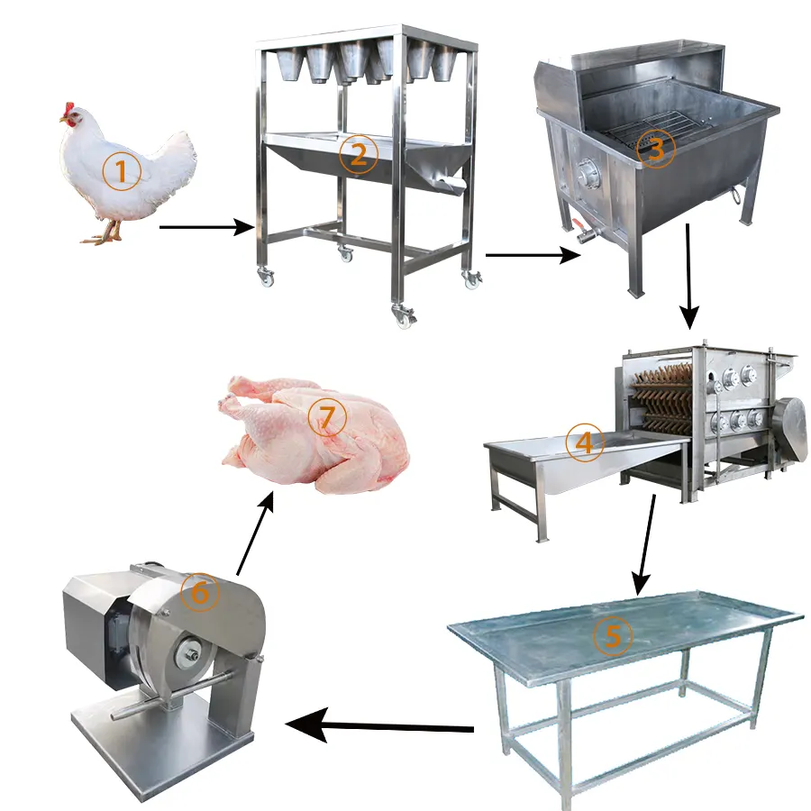 ذبح دجاج بسعة صغيرة مع غلاية تجهيز لحم الدجاج آلة تقطيع/ماكينة تضميد الدجاج