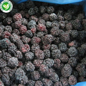 IQF Freeze <span class=keywords><strong>Organic</strong></span> Fresh Blackberries Sweet <span class=keywords><strong>Frozen</strong></span> Fruit em Embalagem a Granel - Product Image 3