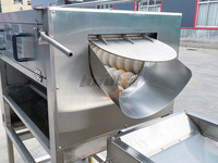 100kg/u 200kg/u Fabrieksprijs Semi-automatische productielijn voor Franse frietjes, gekrulde frietjes, frietmachine