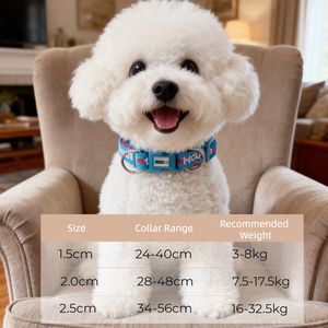 Kerah Kamuflase Hewan Peliharaan Universal Kerah Leher Hewan Peliharaan Tahan Lama Enam Warna Kerah Hewan Peliharaan Berkualitas Tinggi Desain Dua Warna Lembut - Product Image 3