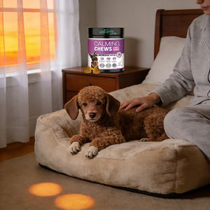 Masticables Suaves para Perros, Suplementos Dietéticos para la Calma con Semillas <span class=keywords><strong>de</strong></span> Cáñamo, Calostro, Manzanilla, Raíz <span class=keywords><strong>de</strong></span> Valeriana, L-Teanina, Sin <span class=keywords><strong>Gluten</strong></span> - Product Image 4