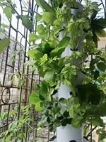 Tour de culture hydroponique multicouche Seedafarm Model Nine légère de 20 kg avec couvercle en plastique, sans terre, pour serre domestique, utilisation 3 mois