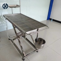 Sanft Hebender 304 Edelstahl Tierchirurgie-Tisch mit Abnehmbarem Abfallfilter und Ablage Geeignet für Tierpflegezentren