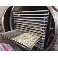 Vriesdroogmachine voor snoep, fruit, groenten en dehydratatie
