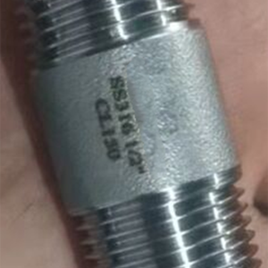 Mamelon fileté SS316 NPT par <span class=keywords><strong>exemple</strong></span> 1/2 "de diamètre par 2" de long - Product Image 3